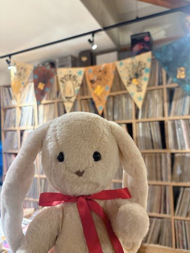 みて！れこーどがいっぱい！