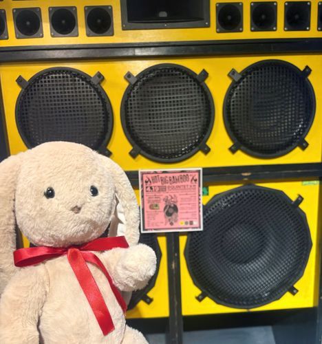 おおきいスピーカーですてきなおんがくをきいてきたよ♪♪
