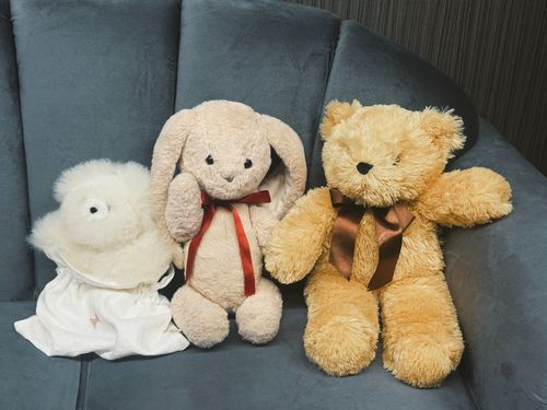 おともだちができたんだ🎶