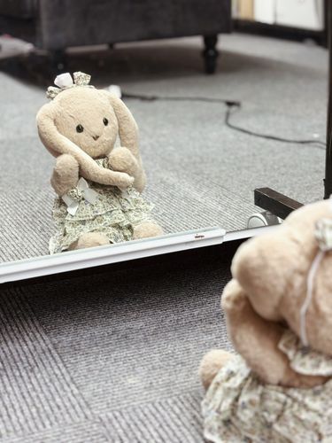 みみがたどうしようかな〜？？