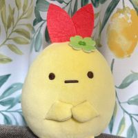 はっきりさん