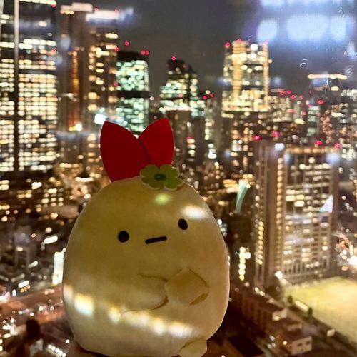 都会のはっきりさん🏙️✨
照明効果でおいしそうにみえるかな？
