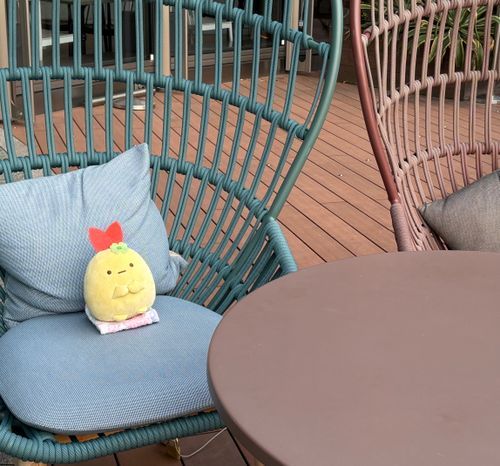 のんびりくつろぎ中🎶