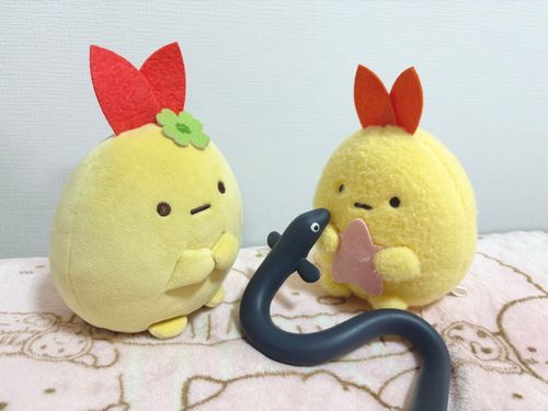 昨日は土用の丑の日🐟
この子ははっきりさんが釣ってきたうなぎさん！大切なおともだちなんだよ☺︎
一緒に暮らしているふわふわさんのことがだいすきみたい✨
