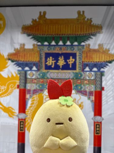 はっきりさんin横浜中華街🍜