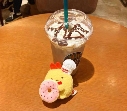 新しいコがおうちにきたよ