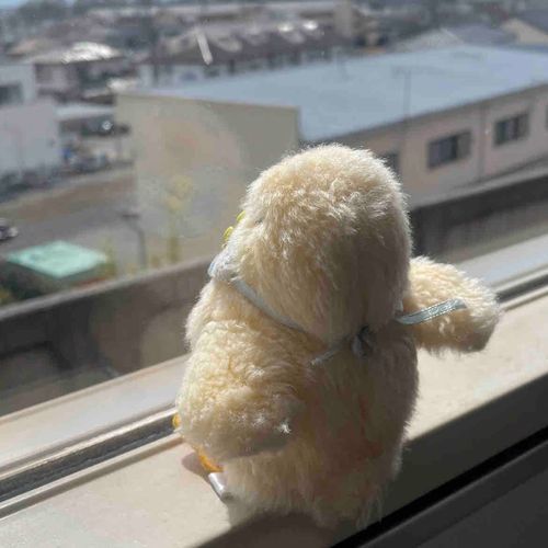 ぴぴぴぴ