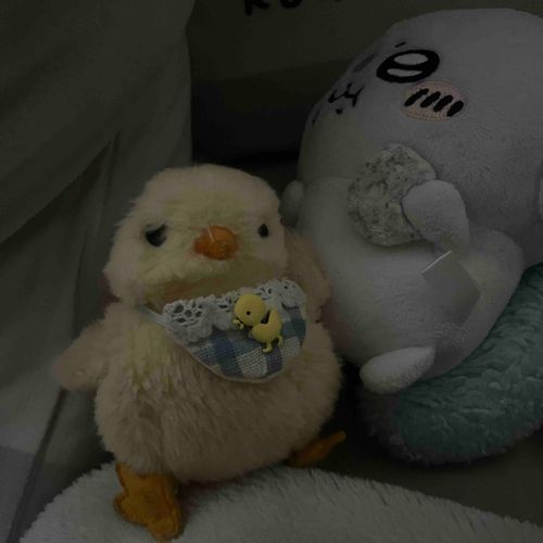 ぴぴぴ、ぴぴぴぴ
