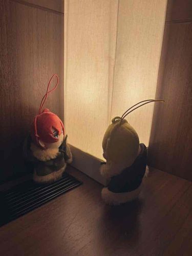 お部屋の探検楽しかったね