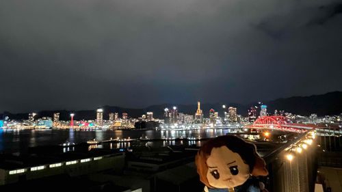 🌃