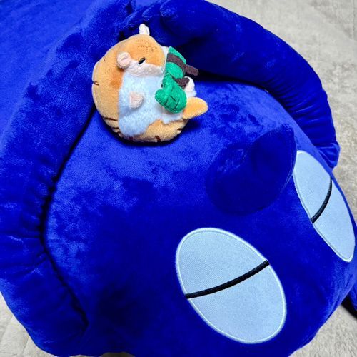 でかいやつ(おっちゃん)とちぃちゃいやつ(ﾆｭﾝ)の写真