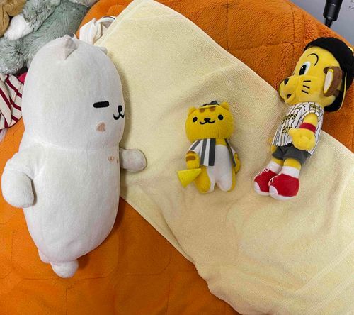 猛猫（まんなか）「さあ、六甲おろしの練習やで」
○ラ○キー（みぎ）「まあ、歌い慣れてますから。」
でぶ猫（ひだり）「おろしハンバーグですか？？」