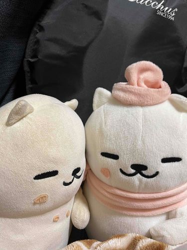 遅くなりましたがあけましておめでとうにゃ！相変わらずしばれるねぇ〜(>_<)
デブ猫1「こたつ入りながらサクレ食べたいねぇ〜(>_<)」
デブ猫2「サクレ溶けるやん！」
デブ猫1「・・・」