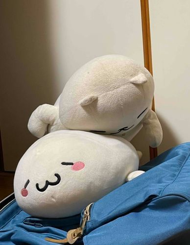 おやすみzzz



夢の中
まんぞく「気持ちいい枕だにゃあw」
あざらし「なんで漬けもの石置くのよ〜(>_<)」