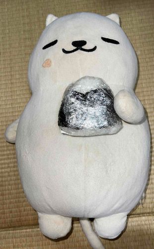 新年度やね、、、（おにぎりは誰にも渡さん）