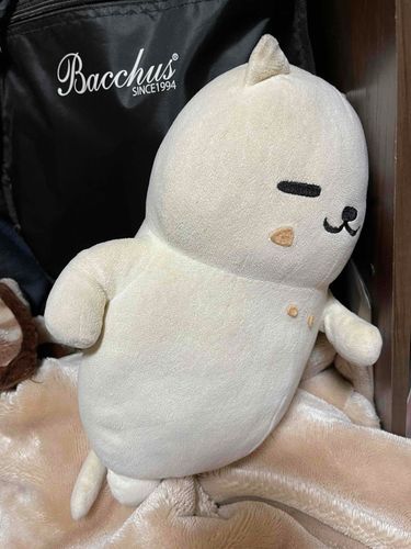 オレナンテドーセ...

まんぞくなりの反省ポーズ
