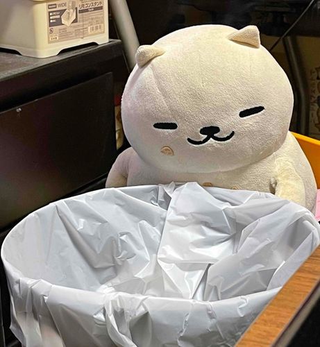 せさみすとりぃとのおすかぁやないかい！！