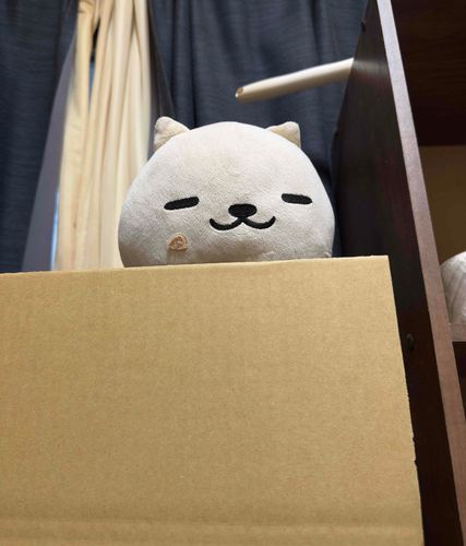 あけおめやで(^_^)
