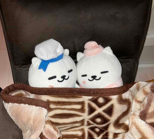まんぞく左「しゃむいね、、、」
まんぞく右「しゃむいね、、、」
左「おにゃかすいたね、、、」
右「おにゃかすいたね、、、」
左「マック買ってきてよ(^_^)」
右「zzz...」
左「（；ﾟ〇ﾟ)」
3分後
左「zzz...」