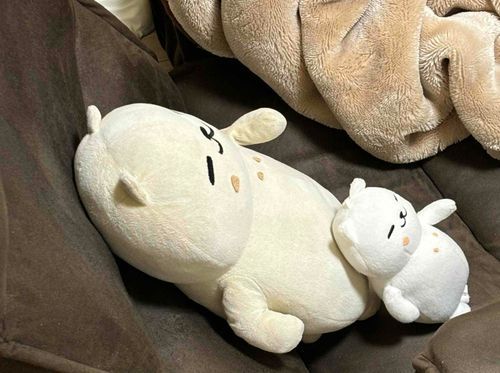 ひさしぶりやな😉