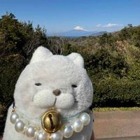 おハム