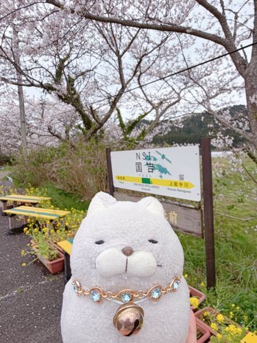 いすみ鉄道の国吉駅に行ってきたにゃ🚃
今も電車は動いてにゃいけど、ココの雰囲気が好きで来てしまうにゃ🩵