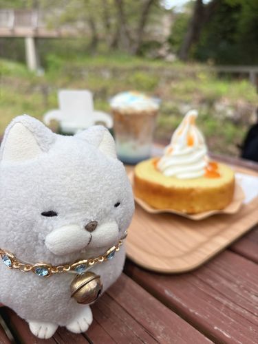 お花を見に行く前の腹ごしらえにゃ♪
ずっと気になっていた森の中のカフェでメロンバウムソフトをいただいたにゃ🍈✨