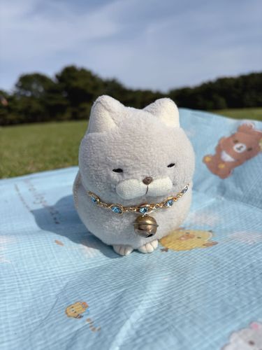 最近またバドミントンにハマりだしたお仲間の付き添いにゃ♪