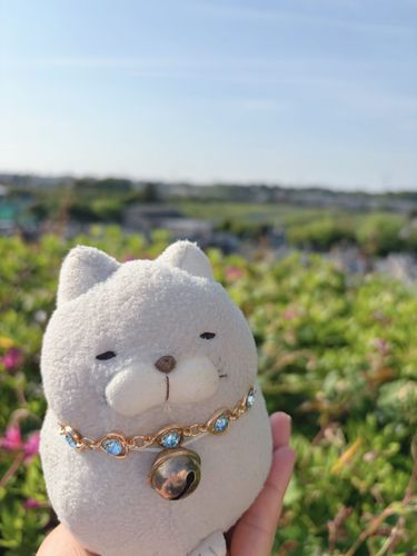 お墓参りのお供をしてきたにゃ🌼
いつもお仲間を見守ってくれているご先祖さまに会いにいくと心が落ち着くにゃ✨