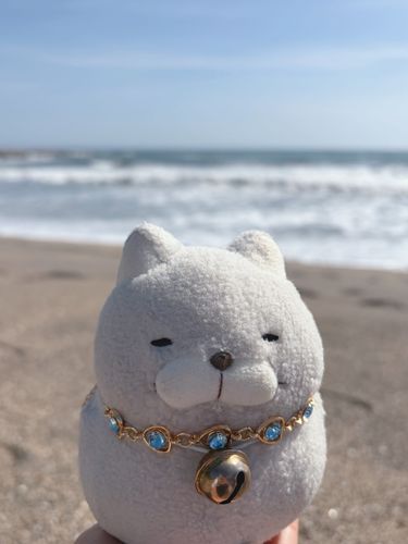海ドライブに行ってきたにゃ♪
潮のかおりと海風が心地よかったにゃ〜🌴✨
