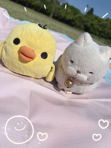 昔はよく行っていたという公園でピクニックしてきたにゃ🍙🏸
お仲間は久々に張り切ってお弁当つくってにゃんか楽しそうだったにゃ♪