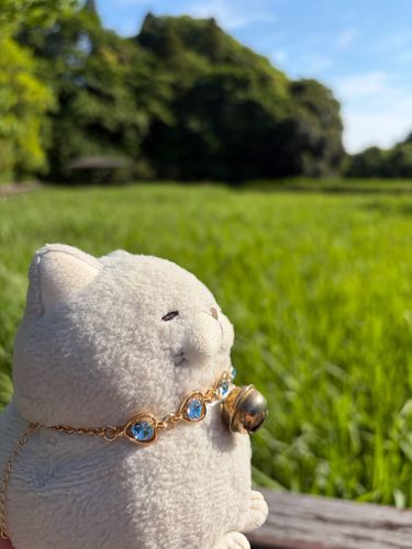 お散歩コースがあって、自然いっぱいでにゃかにゃかいい公園だったにゃ🌳✨