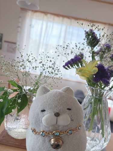 お墓参りの時のあまり花でおウチが明るくなったにゃん🌼