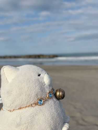 先週末、浜辺でたそがれるおハムにゃ🌴