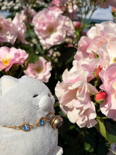 🌹京成バラ園🌹その①にゃ
ちょうど見頃でいいタイミングだったにゃ♪
くんかくんか…にゃーんていい香りにゃんだ✨✨