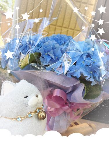 今日はお仲間の結婚記念日💍だったにゃ⭐︎
シーサイド ブルーっていう品種名のキレイにゃ紫陽花が届いて🎁✨
おハムもめちゃくちゃ気に入ったにゃん♪