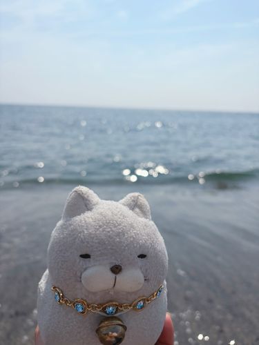 すぐ下は波ざっぱーんにゃ🌊
命がけにゃ💦💦