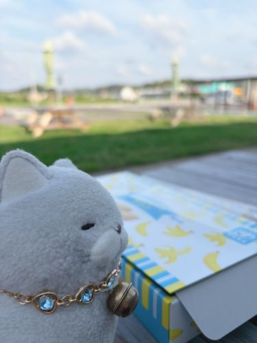 海の帰りに初めて寄った道の駅にゃ🍌
広々としたグリーンの芝とのんびりした雰囲気が気に入ったにゃ✨