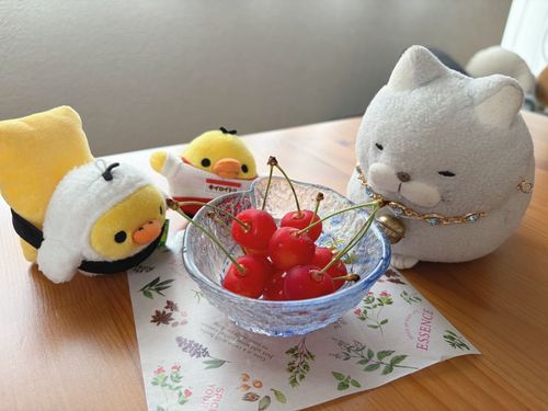 にゃにゃーん✨
今年初のさくらんぼにゃ🍒
見ているだけでもホントに愛らしいにゃ〜♪