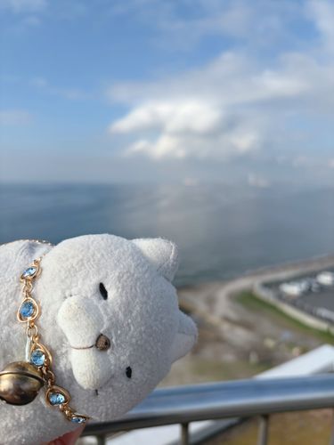 にゃにゃーん！
ひょっこりおハムにゃ🩵
この前の梅雨の晴れ間に富津岬の高い所まで登ってみたにゃ♪
