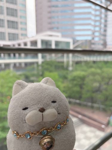 久々に電車の旅のおともにゃ♪
途中事故で乗ってる電車が急きょ行き先変わって焦ったにゃー💦💦