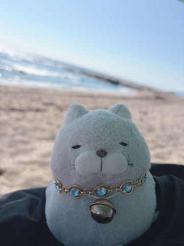 ちょっと前に心待ちにしてた海いってきたにゃんけど。。
翌日お仲間が熱中症で高熱でて大変だったにゃ💦💦
尋常じゃない暑さにゃ、みんにゃもくれぐれも注意にゃんよ⚠️