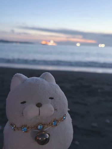 昨日の花火大会ちょくぜんのおハムにゃ！
わくわくだにゃ〜🩵