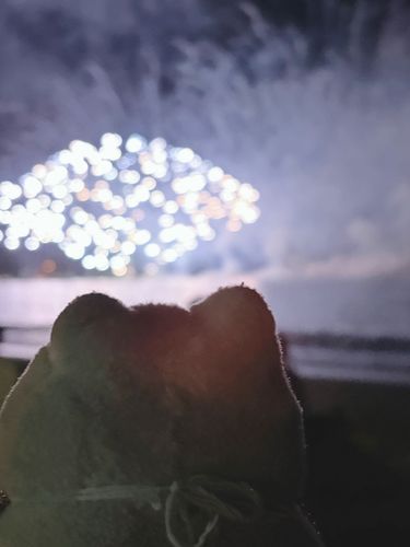 ココはいきにゃり始まるど迫力の水上花火が見どころにゃんけど✨
それを写真でおさめるのは至難の業にゃ💦