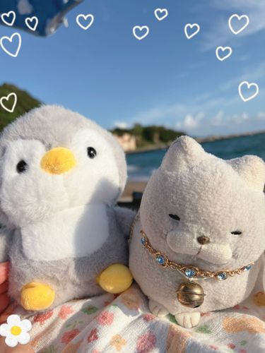 いつもの海に行ってきたにゃ♪
この夏は目まぐるしくいろんにゃことがあって、お仲間は疲れはててるにゃ💦
おとにゃりは新しいお仲間のペンネちゃんにゃ🩵