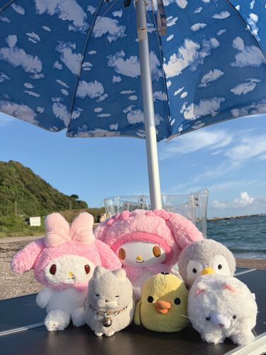 集合写真にゃ〜📷✨
