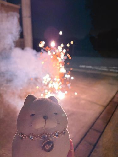 噴水花火もキレイだったにゃ✨
