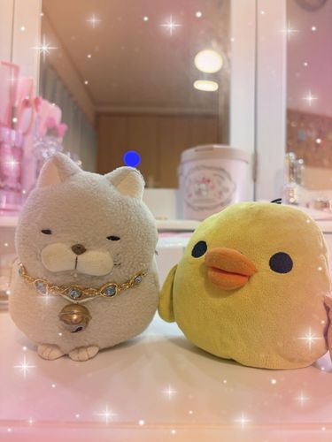 にゃははは
我が家に新しい撮影スポットができたにゃ〜✨
オトメにゃ気分になっちゃうにゃ🎀