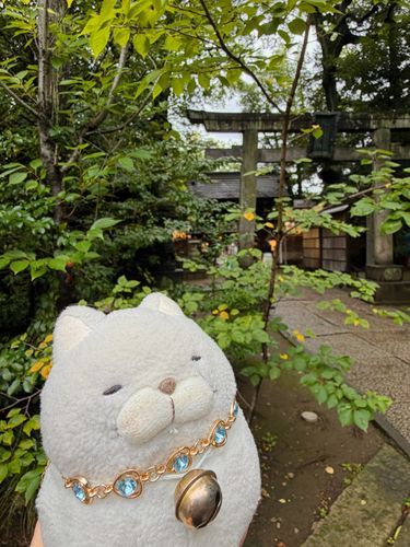 先週、お忍びでとある神社にお参りしてきたにゃ⛩️
お仲間の熱意あるお願い事がどうか神様に届きますようににゃ✨
でもにゃんと、お仲間がこの日にもらってしまったであろうインフルエンザにかかったにゃ💦💦
もう熱が何日も下がらにゃくてしんどそうにゃ💦💦💦