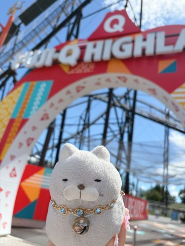 時系列がくるっちゃうにゃんけど、チビネエのお誕生日記念で富士急ハイランドに行ってきたにゃー🎂✨